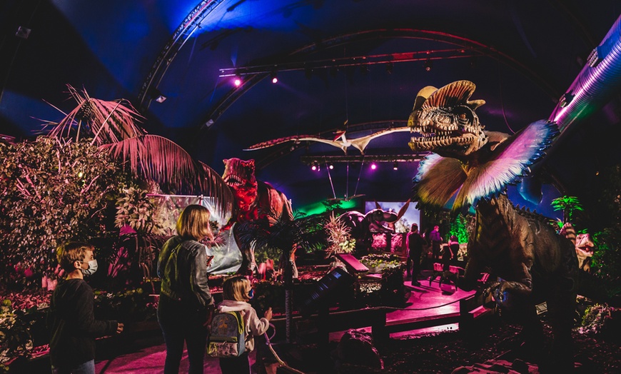 Image 16: Visita temática y exposición