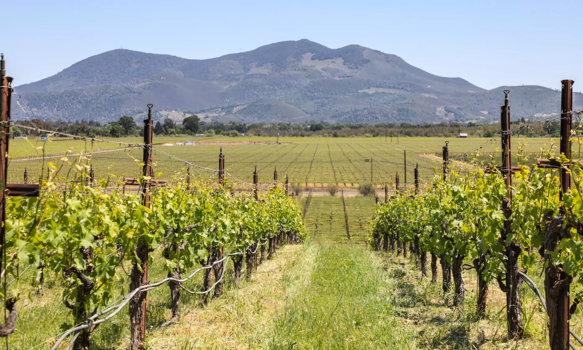 Lake County Wine Adventure on 18 May 2024 (Up to 26% Off) - Second Medium