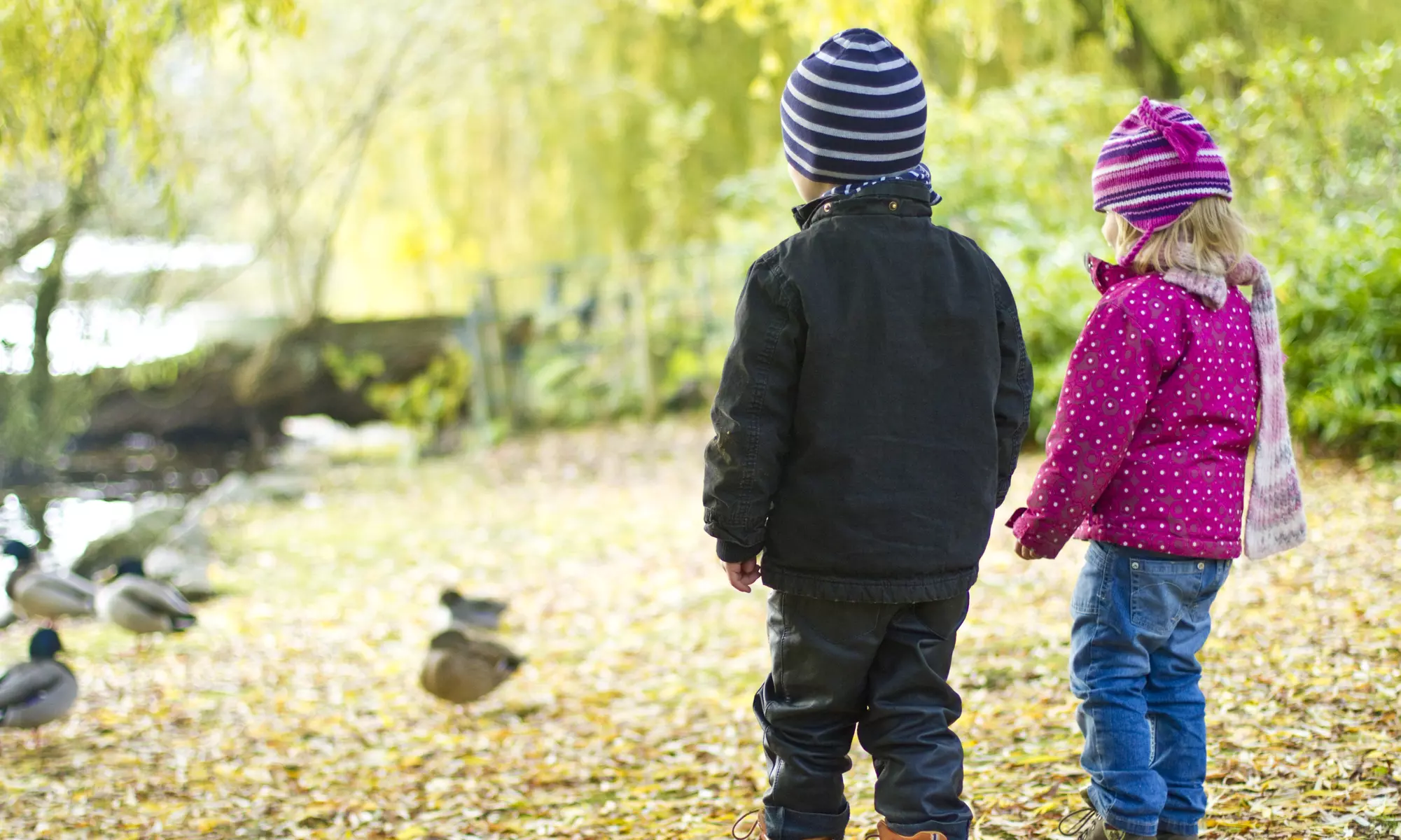 60-Minute On-Location Photo Shoot and Disc of Edited Photos from Kendzierski Photography (70% Off) - Primary Image