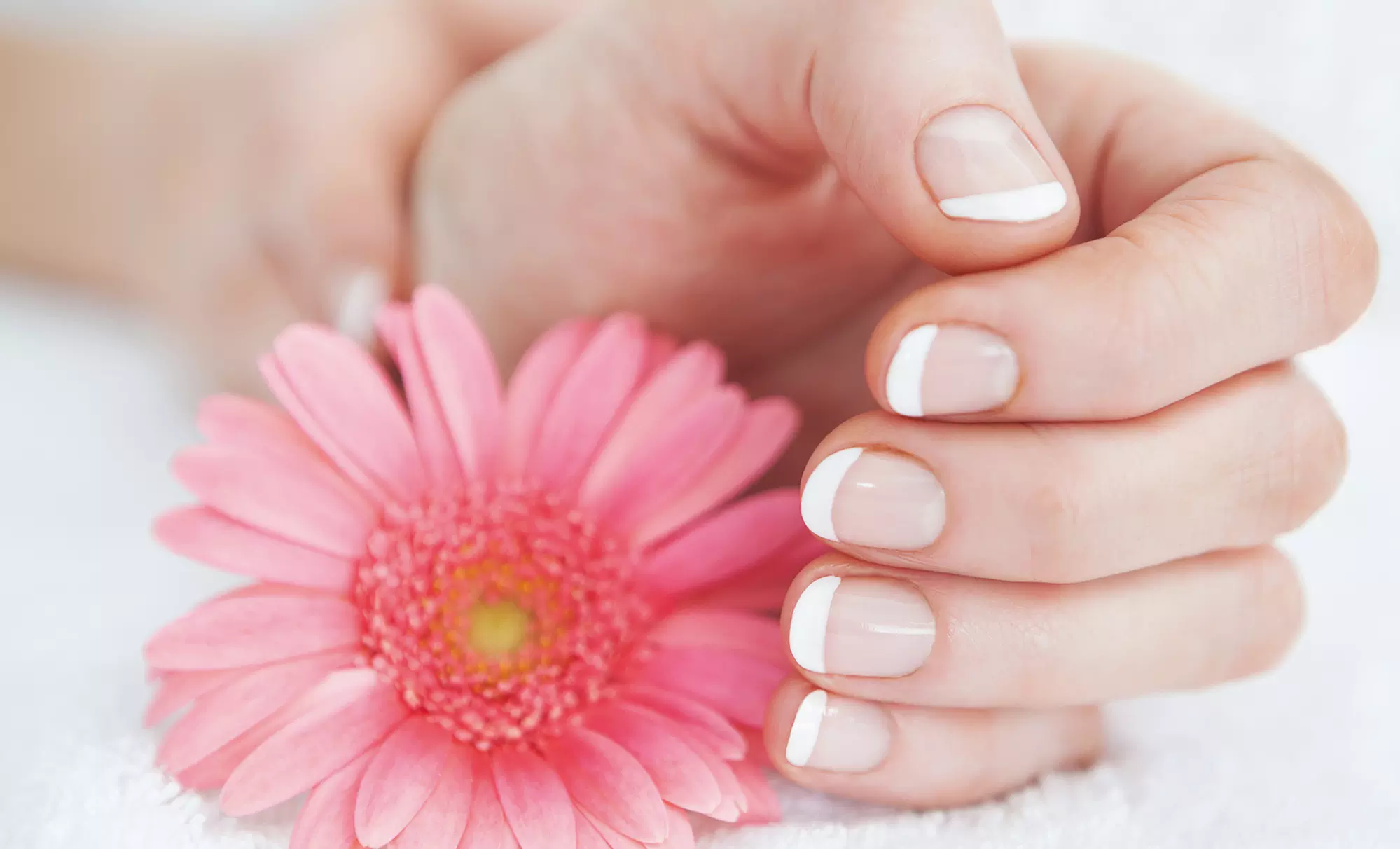 $11 for $20 Groupon — Mantra Nails Lounge - Primary Image