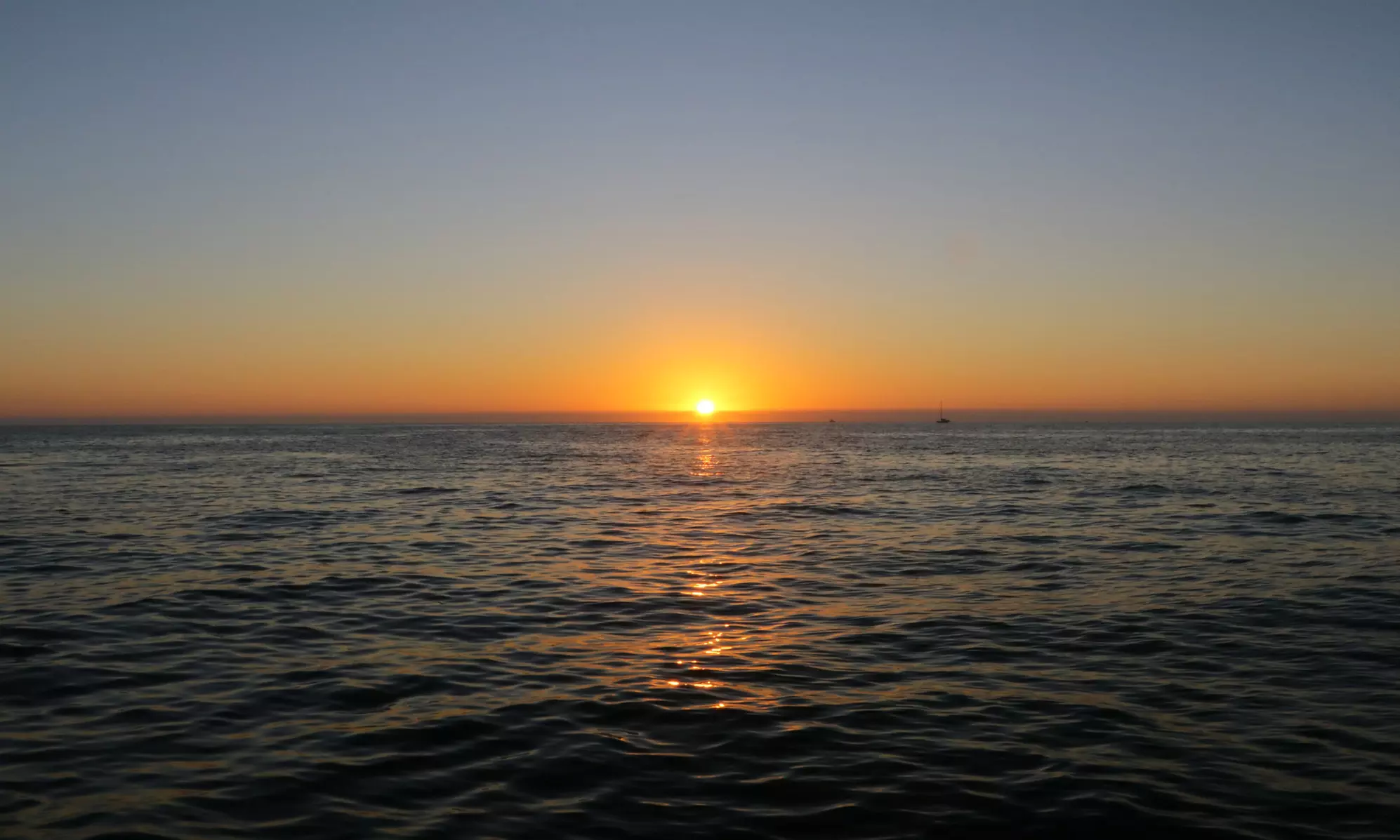 Experience Salty Pelican Boat Tours' Sunset Cruise & Dolphin Watching with up to 20% off. Enjoy breathtaking Gulf views. - Second Medium