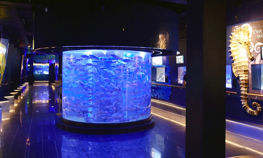 Image 17: Museo Oceanografico a Monaco -50%