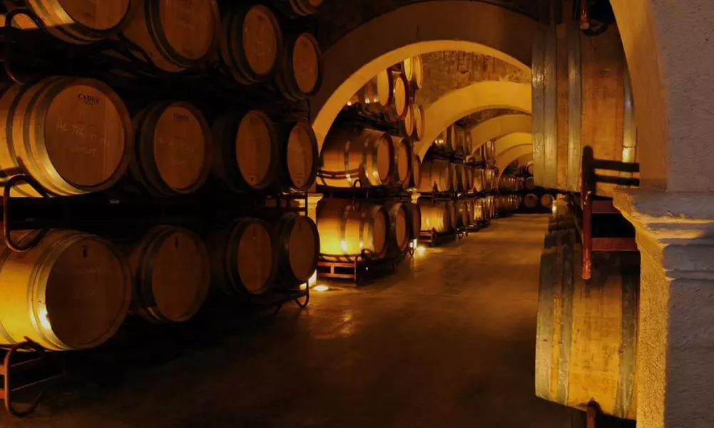 Visita a bodega y cata de vinos