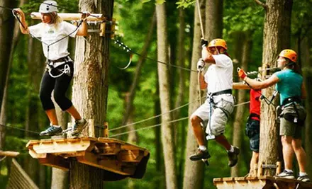 $32 for Three Hours of Aerial Ropes and Ziplining from Treetop Trekking by Arbraska ($69 Value) - Primary Image