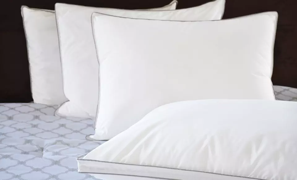 Four Natural Comfort Down or Down-Alternative Pillows (Up to 63% Off). Six Options Available. Free Shipping. - Second Medium