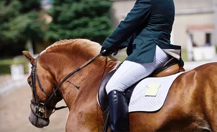 One, Two, or Four 60-Minute Horseback-Riding Lessons at Simplicity Stables (Up to 56% Off) - Primary Image