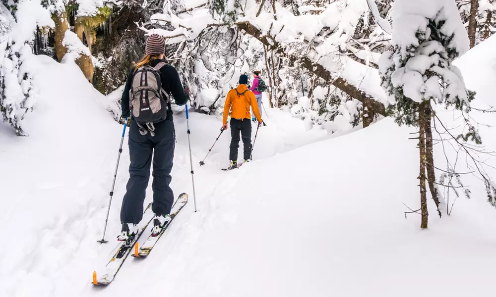 Individual or Family Season Membership to Catamount Trail Association (Up to 43% Off)  - Primary Image