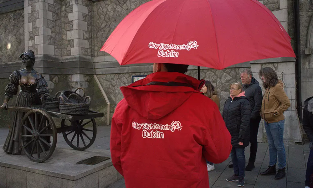 Explore Dublin: 24 or 48-Hour City Sightseeing Bus Tour!