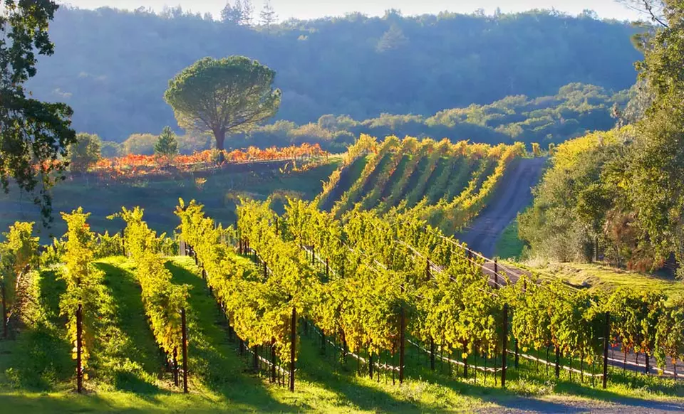 Stay at The Sunburst Calistoga in Napa Valley, with Dates into December - Primary Image