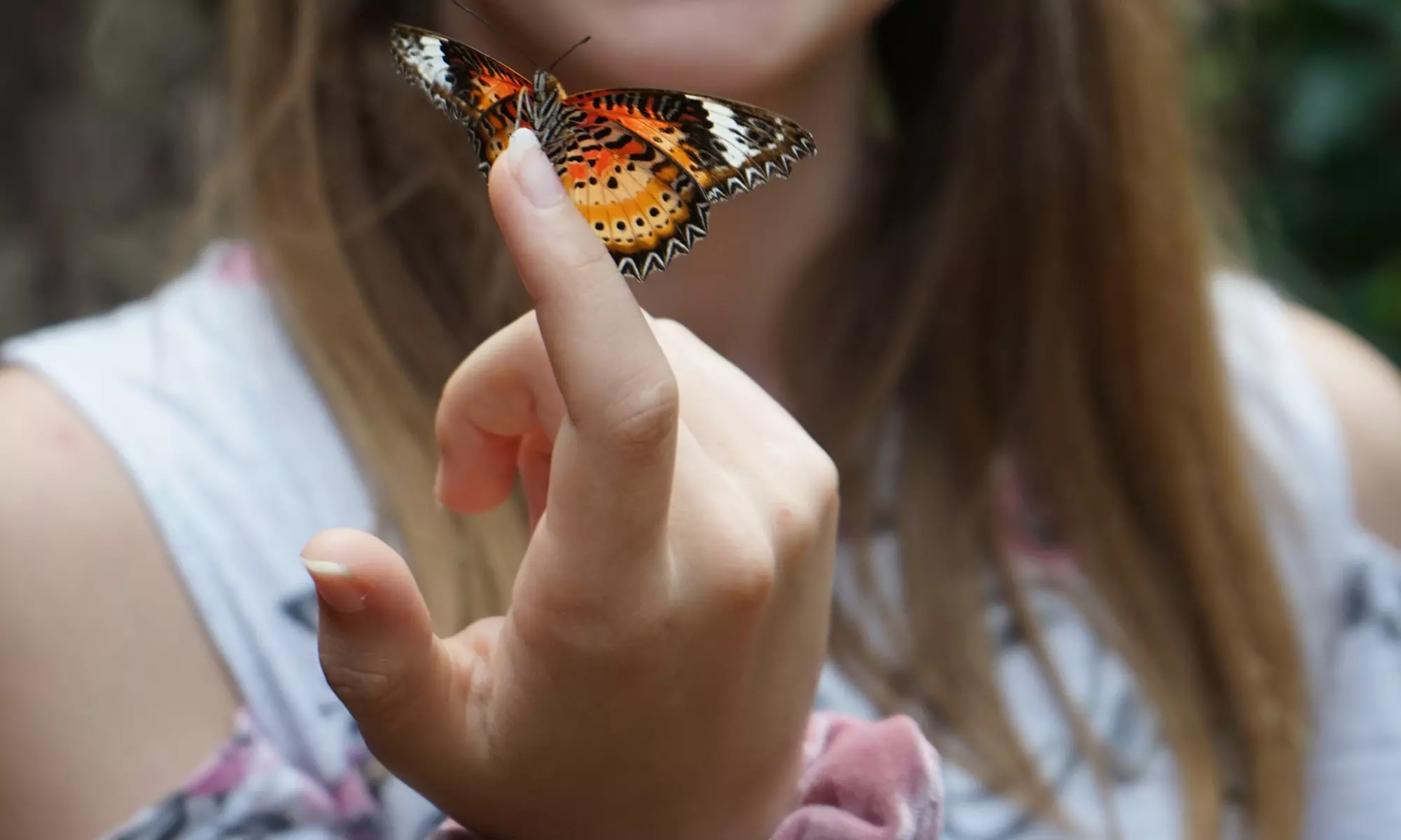 Tageskarte Weltvogelpark Walsrode