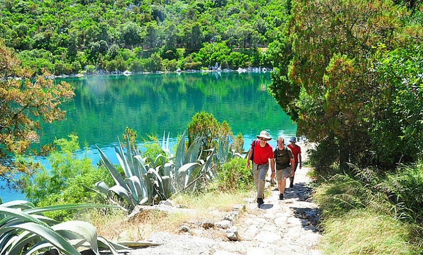 Image 5: Croatian Island Hopping