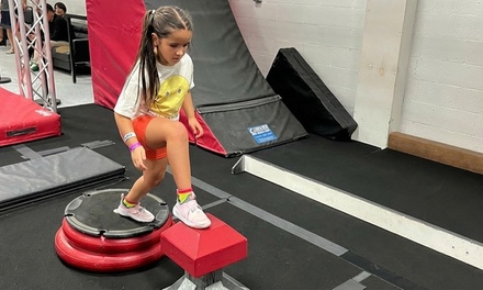 Mini Ninja Party (2 - 5 years)  for up to 10 - Jumptwist Ninja Academy, Boca Raton, FL