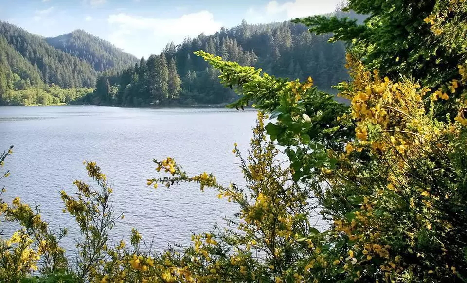 Two-Night Stay for Up to Four at Loon Lake Lodge & RV Resort in Reedsport, OR - Primary Image