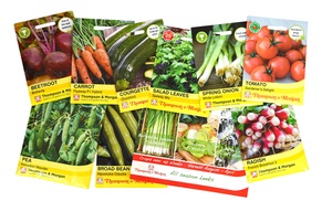 Nurseryman Choice Vegetable Seeds