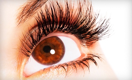 Get Full Eyelash Extension Set for a Voluminous Look