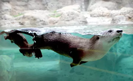 $14 for a Visit for Two to the Museum of Discovery and Science (Up to $28 Value) - Primary Image