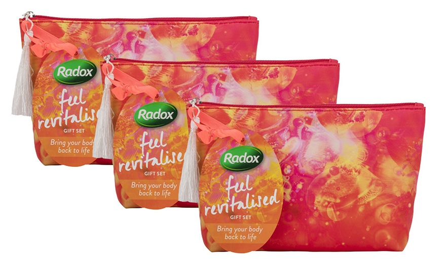 Image 4: Radox Feel Revitalised Gift Set