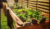 $85 for $275 Worth of On-Site Food Growing Consultation and Garden Design — Ramble & Root 