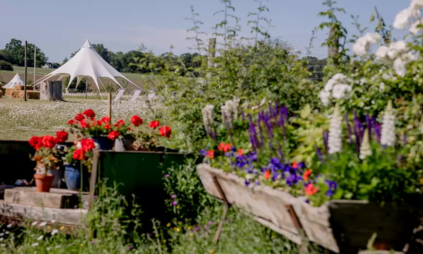 Image 8: Wildflower Meadow Afternoon Tea for Two or Four – Relax & Unwind at Finchingfield Lavender Field! (Up to 45% Off)