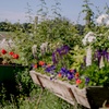 Image 8: Wildflower Meadow Afternoon Tea for Two or Four – Relax & Unwind at Finchingfield Lavender Field! (Up to 45% Off)