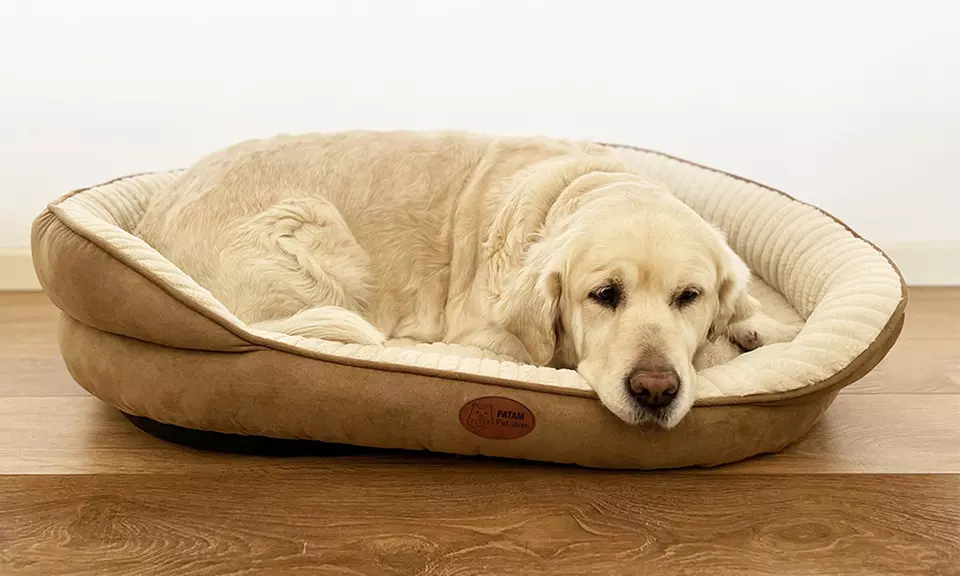 Cucce, lettini e divanetti per cani e gatti in vari modelli e misure