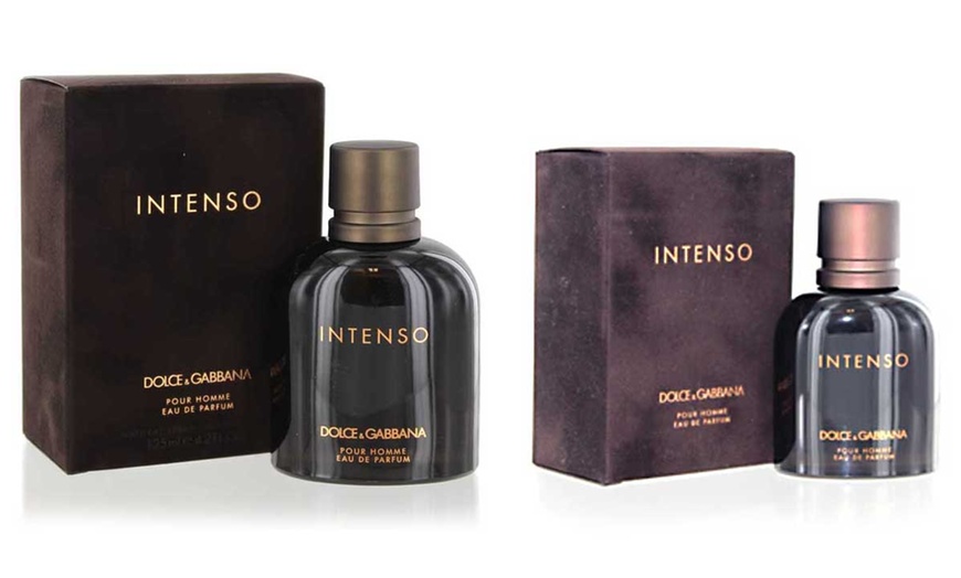 Dolce & Gabbana Intenso Eau de Parfum for Men ( or  Fl. Oz.) | Groupon