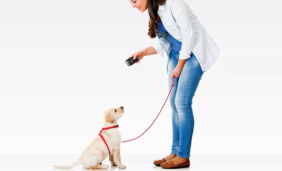Pet Command Dog Training System. Free Returns. - Primary Image
