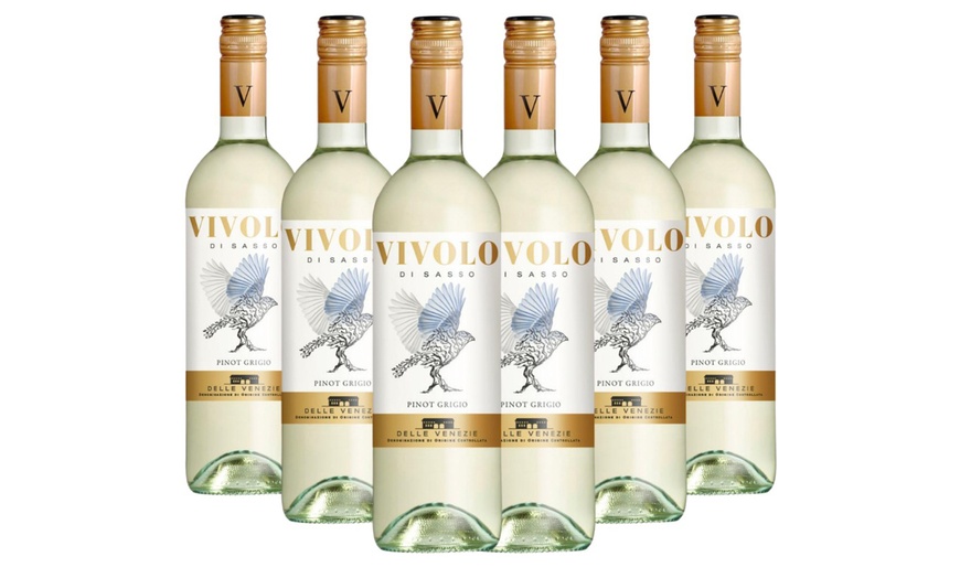 Image 1: 6 ou 12 bouteilles de vin 'Pinot Grigio'