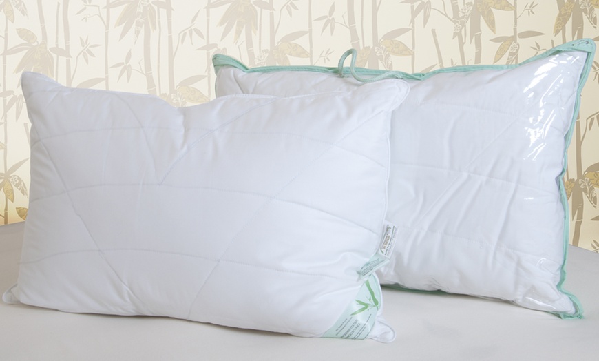 Image 1: Bamboo Pillows