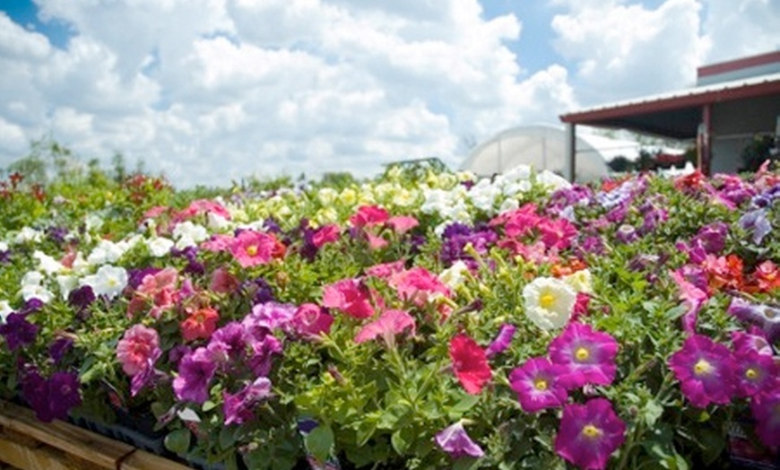 Image 1: Garden Centre Lunch