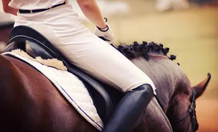 Two or Four Group Horseback-Riding Lessons at Louisa Nicholls Riding Instruction (Up to 56% Off) - Primary Image