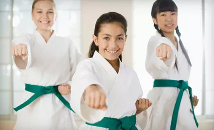 $88 for $175 Worth of Martial-Arts Lessons at DeVito’s TaeKwonDo Academy - Primary Image