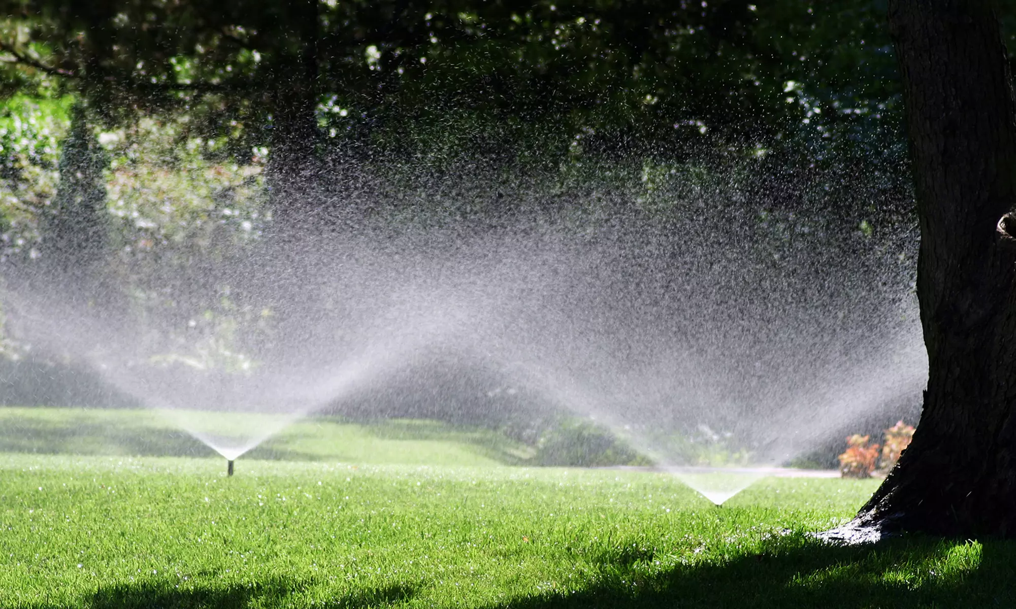 Sprinkler-System Tune-Up with Two Nozzle Replacements for a 1- or 3-Acre Property from Texas Turf Services (67% Off) - Primary Image