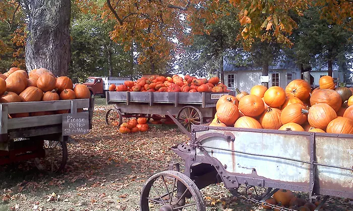 $19 for Admission for Four to Howell's Pumpkin Patch ($32 Value) - Primary Image