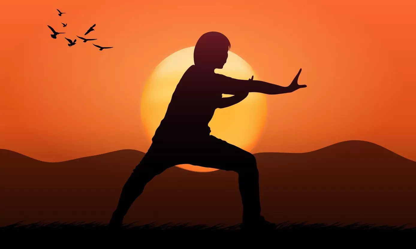 Formation aux étirements des méridiens ''Les étirements Makko Ho''