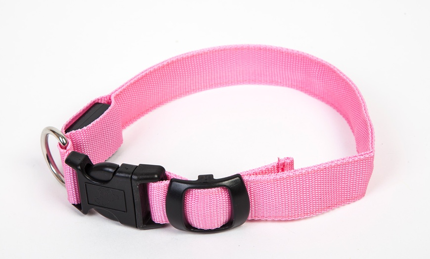 Image 13: LED Dog Collars