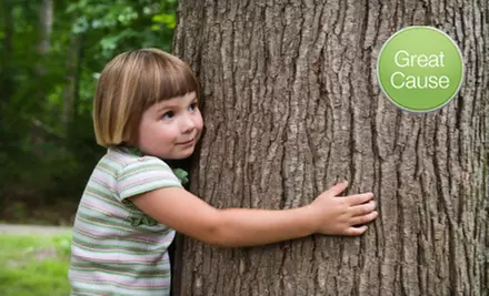 $10 Donation to Plant and Care for a Tree - Primary Image