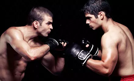 5 or 10 Classes at Alliance Brazilian Jiu-Jitsu NYC (Up to 93% Off) - Primary Image