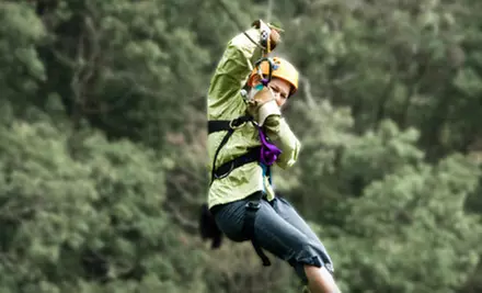 Zipline Ride and Alpine Tower Climb with Lunch at Don Strange Ranch in Boerne (53% Off) - Primary Image