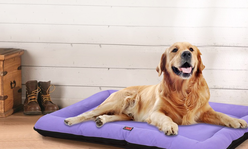 Image 1: Purple Canvas Pet Bed