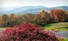 Two-Night Stay Package at Parma in Little Washington (Up to 55% Off). Four Options Available.