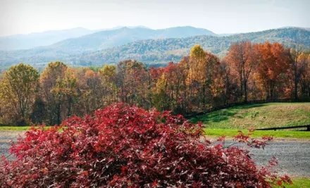 Two-Night Stay Package at Parma in Little Washington (Up to 55% Off). Four Options Available. - Primary Image