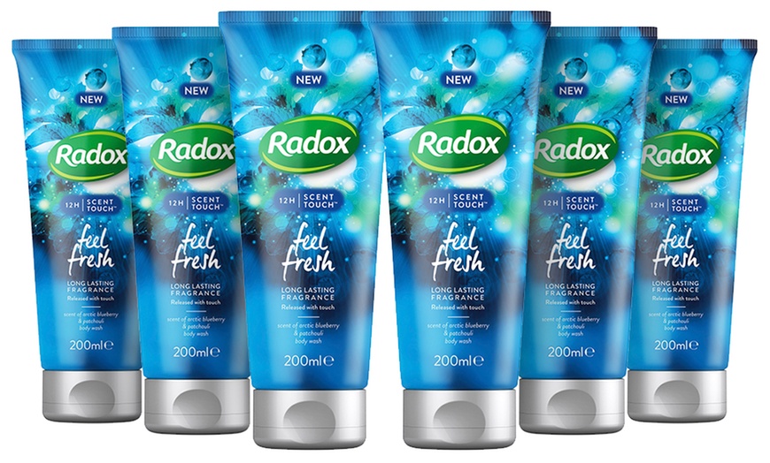 Image 6: Radox Body Wash Six-Pack