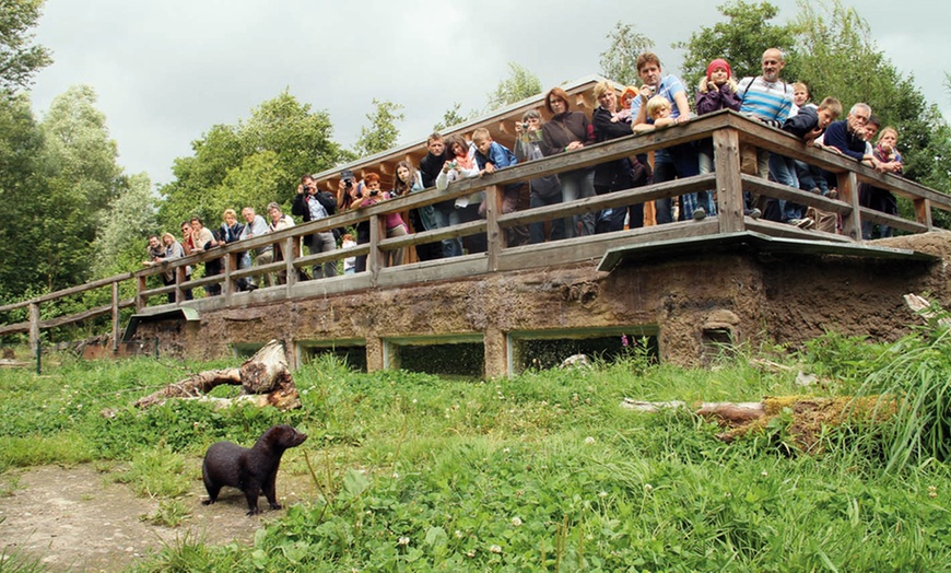 Image 4: Bis zu 22% Rabatt auf den Zoo – Tierpark/Safaripark bei Otter Zentrum