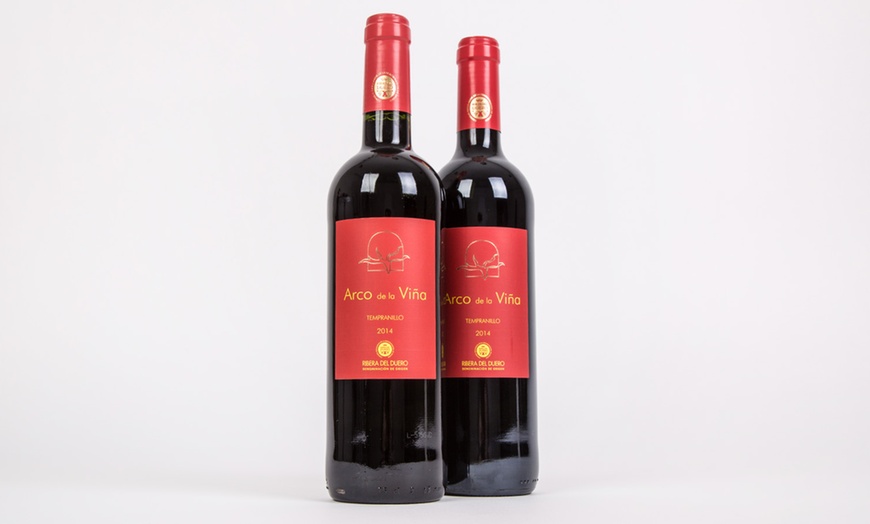 Image 9: 12 Bottles Mixed Spanish Red Wine