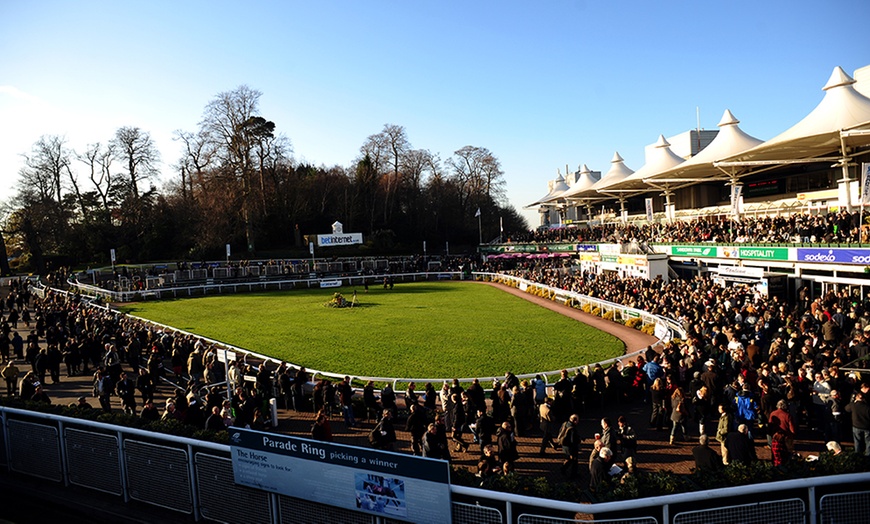 Image 4: Sandown Park Racecourse: Countryside Day