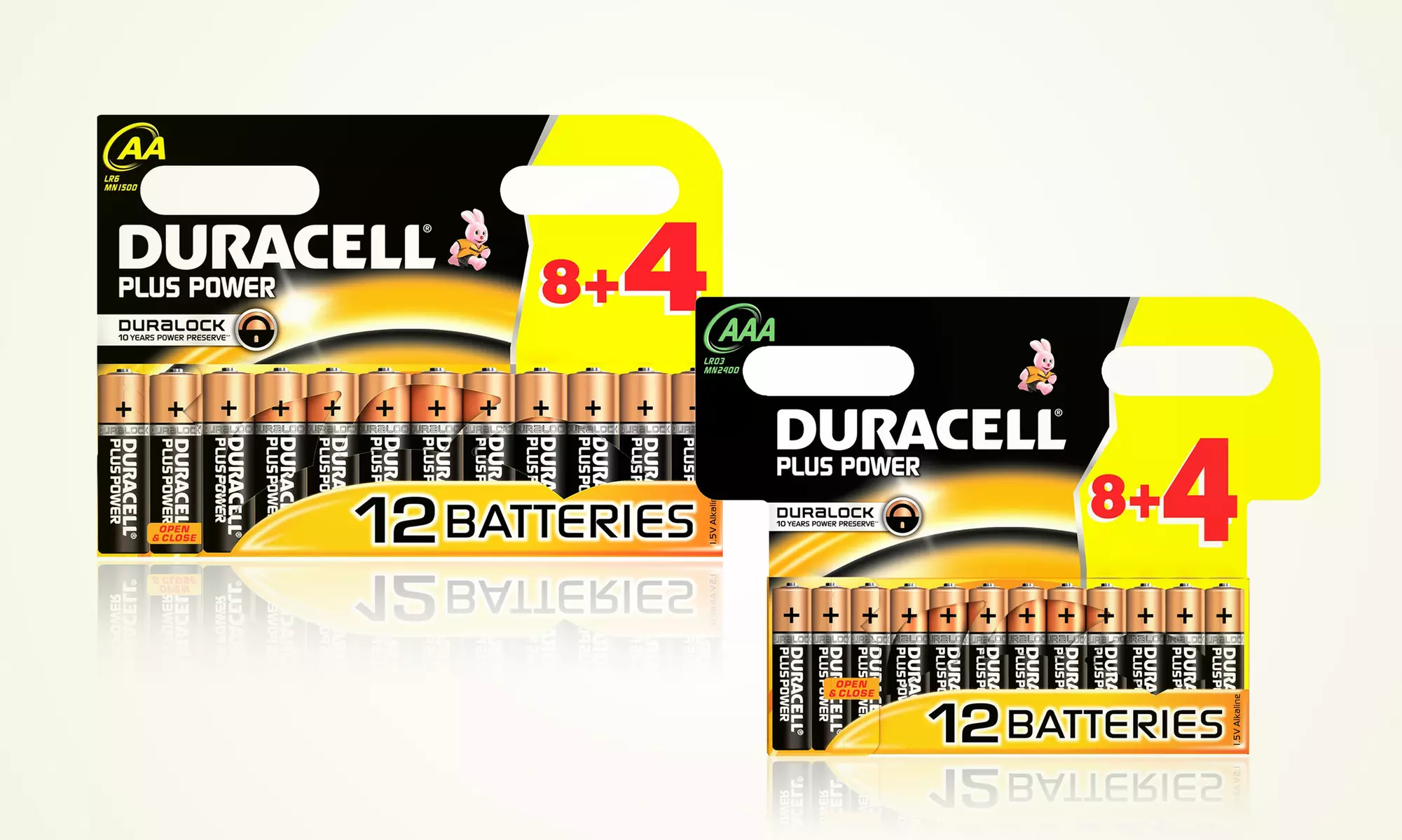 12 Duracell Plus Batteries for £3.48 (65% Off) - Primary Image