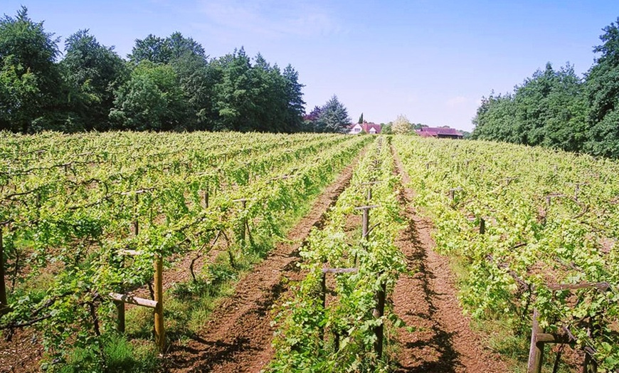 Image 4: Winery and Brewery Tour with Tasting Session at Chiltern Valley Winery