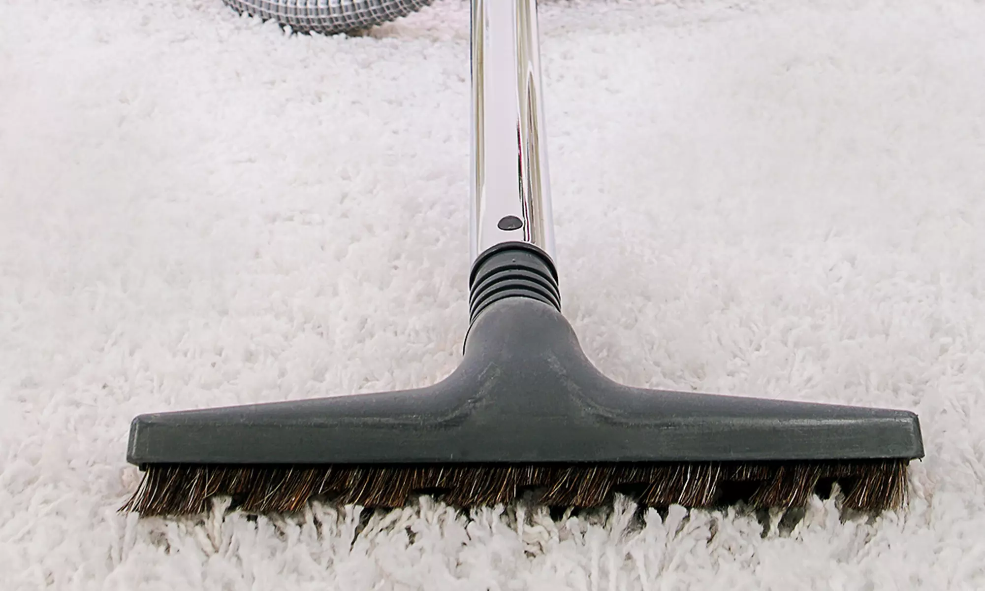 $99 for Up to 3,000 Square Feet of Carpet Cleaning from 123 Houston Carpet Cleaning (Up to $350 Value) - Primary Image