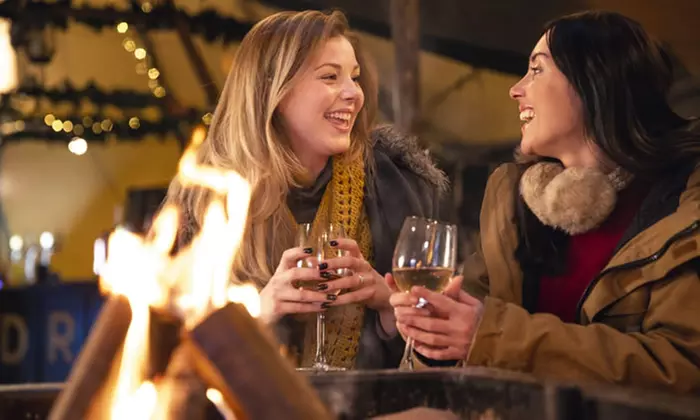 Full-Day Guided Niagara Wine Tour with Sanitation Kits from Niagara Fun Tours (Purchase Now, Book Later!) - Primary Image